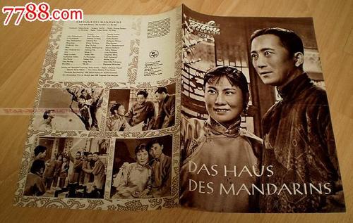 哪里能办马尔代夫护照电子版